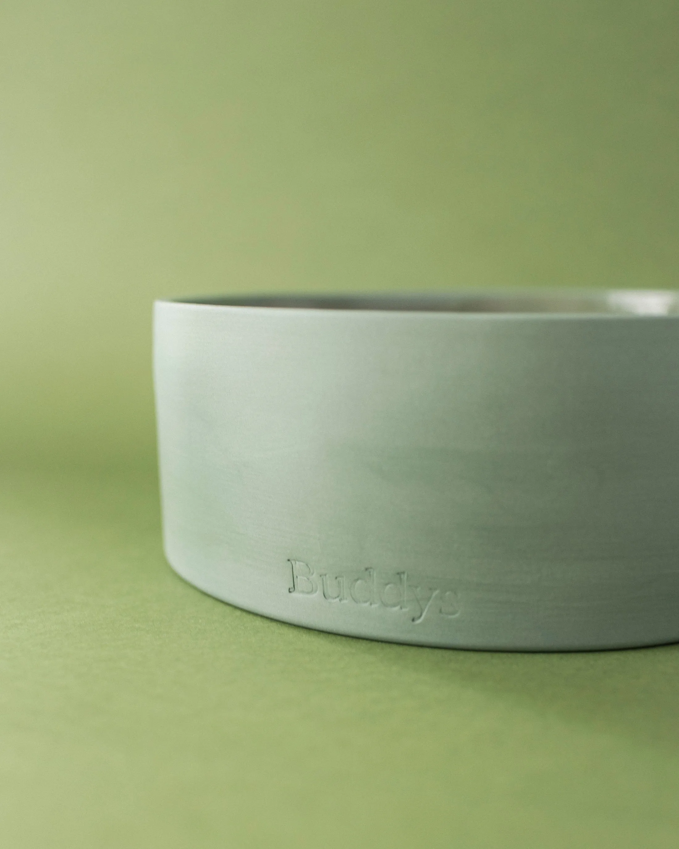 Buddy Dog Food and Water Bowl, Green Medium