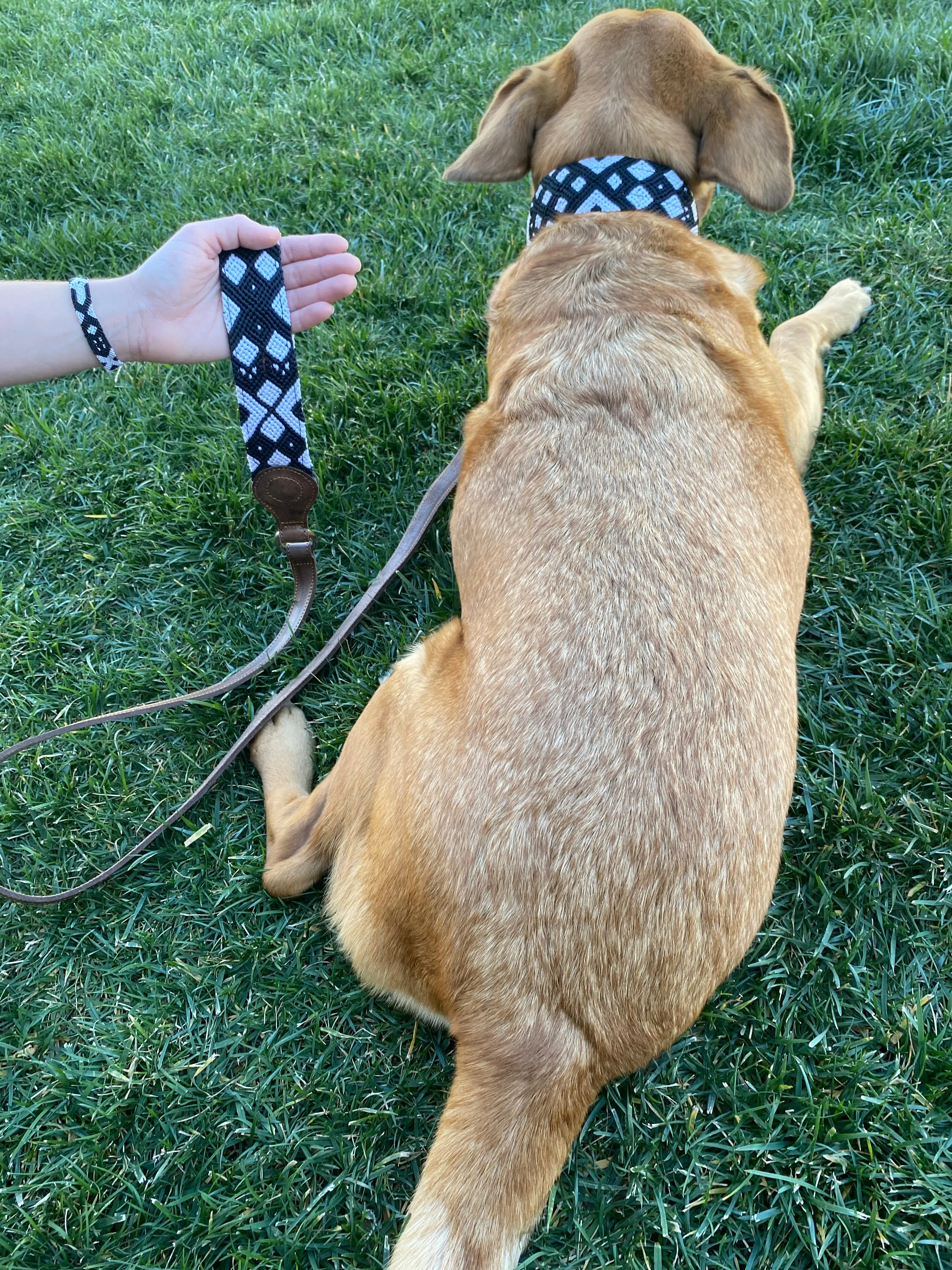 Coco Leash