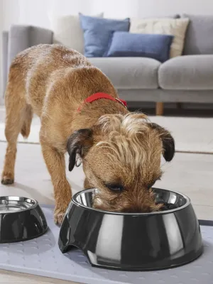 Food/Water Bowl Set