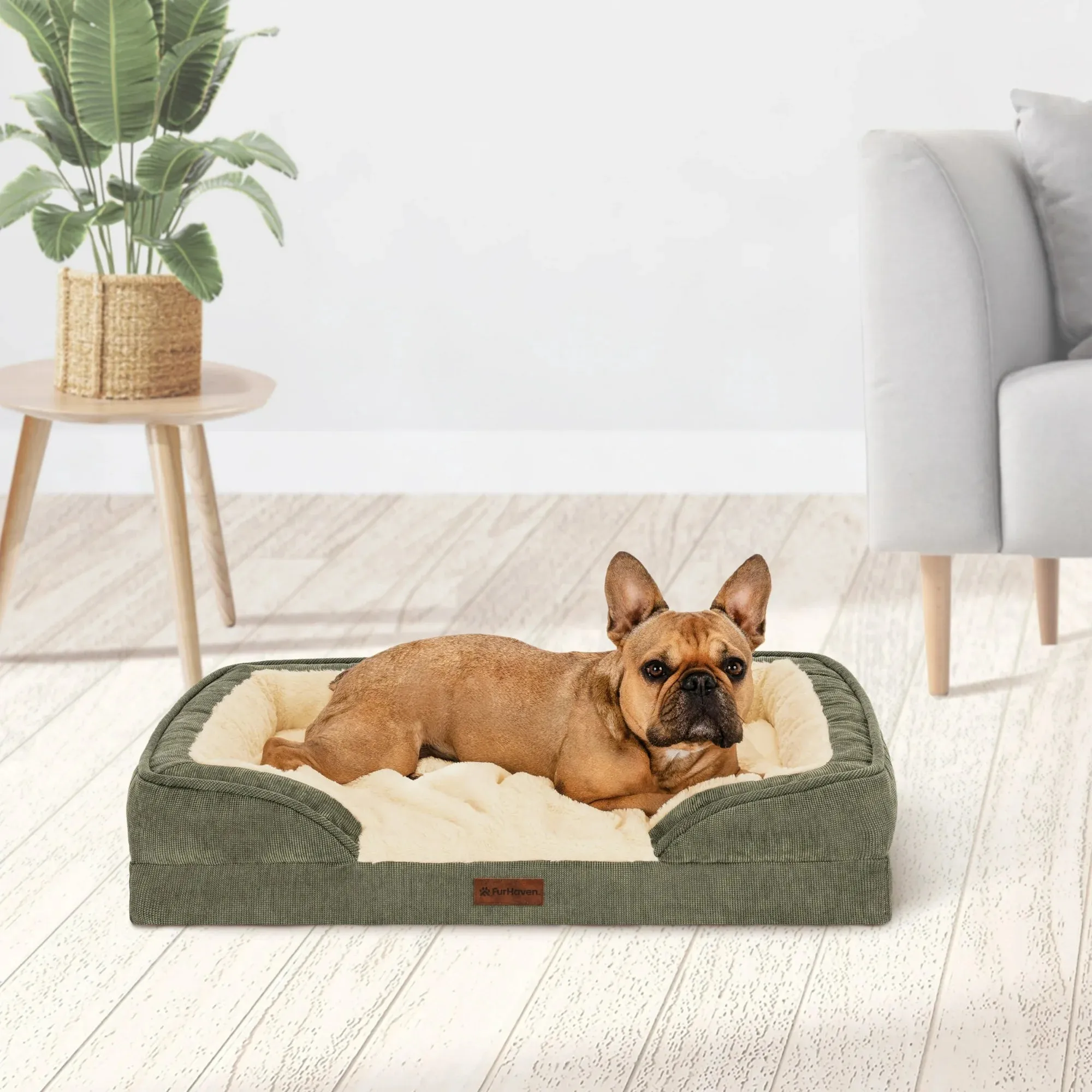 Furhaven Pet Products 65101 Medium Nest-Top Perfect Comfort Sofa Orthopedic Ped Bed, 30"x20", Green