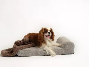 Hommey Boucle Pet Bed - Stone