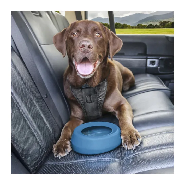 Kurgo Splash Free Wander Dog Water Bowl