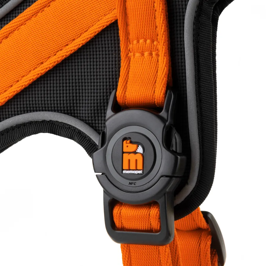 Memopet Harnesses