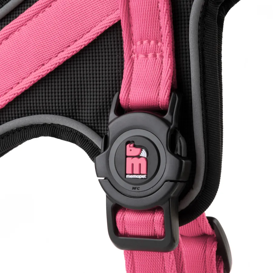 Memopet Harnesses