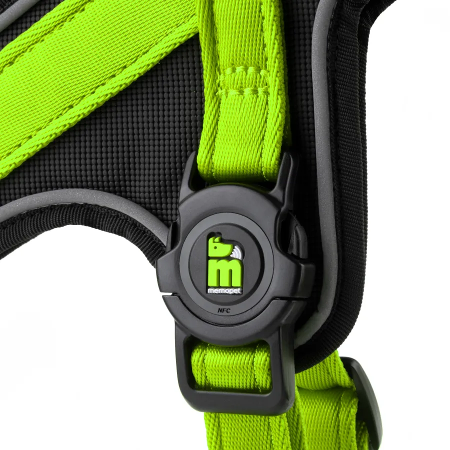 Memopet Harnesses