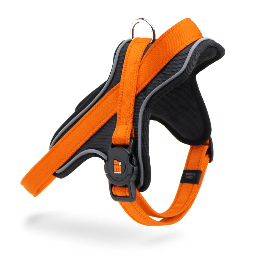 Memopet Harnesses