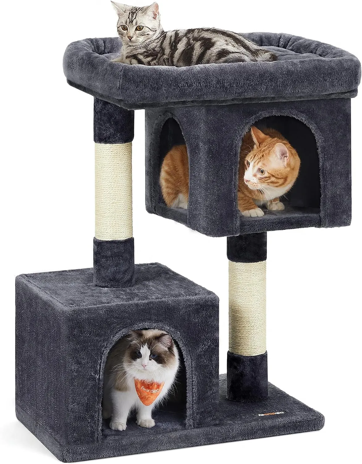 Modern 65-Inch Cat Tree