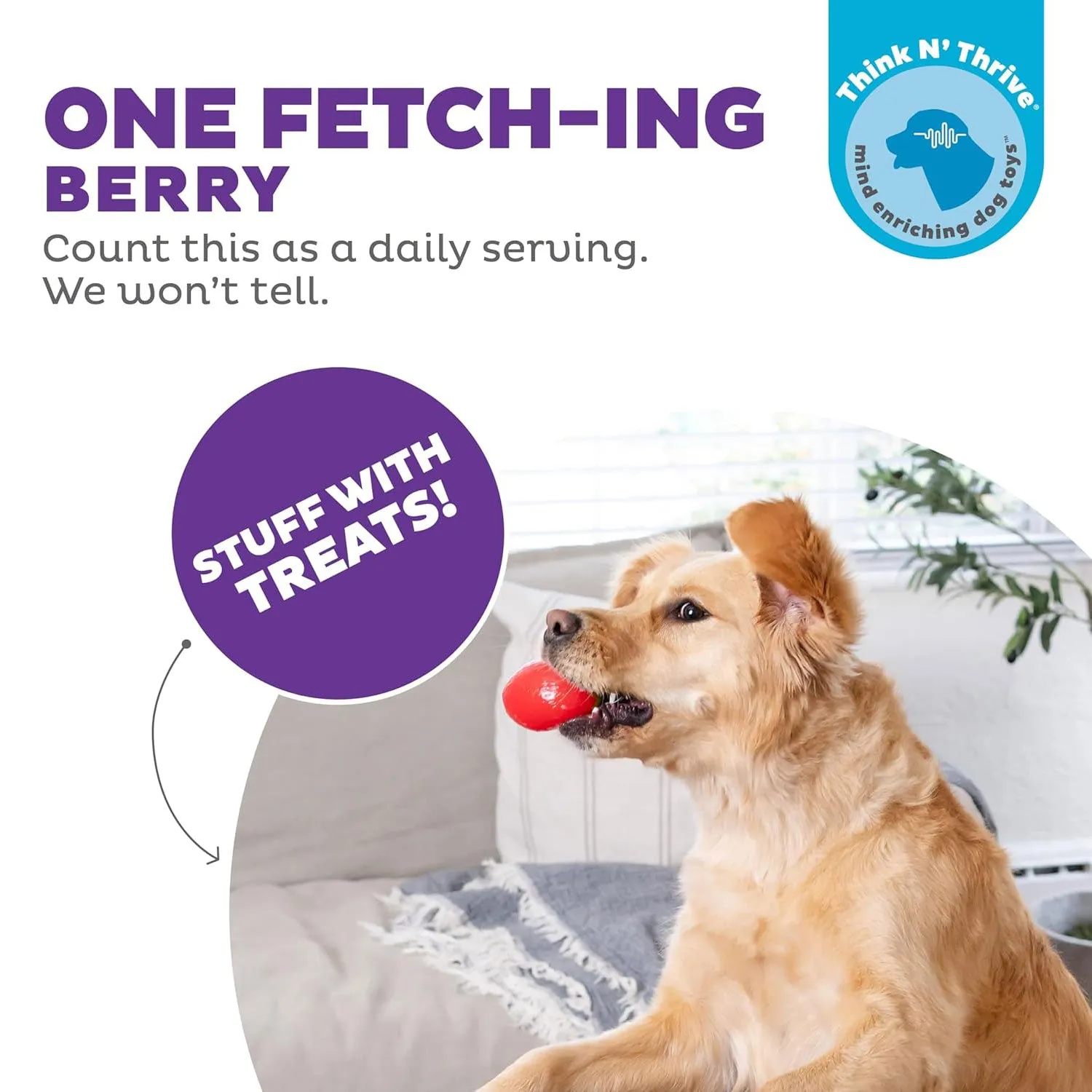 Outward Hound Orbee-Tuff Strawberry Dog Toy