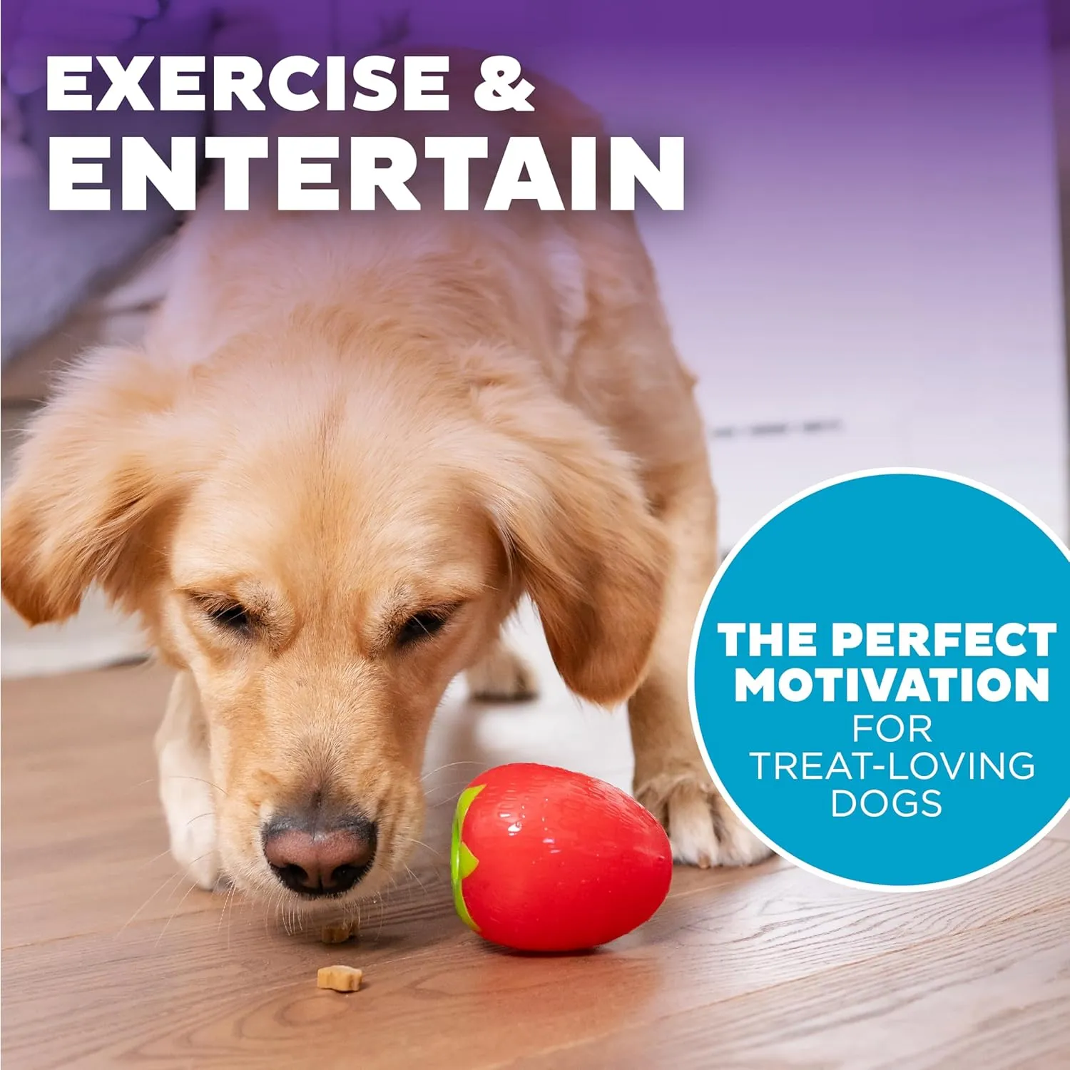 Outward Hound Orbee-Tuff Strawberry Dog Toy