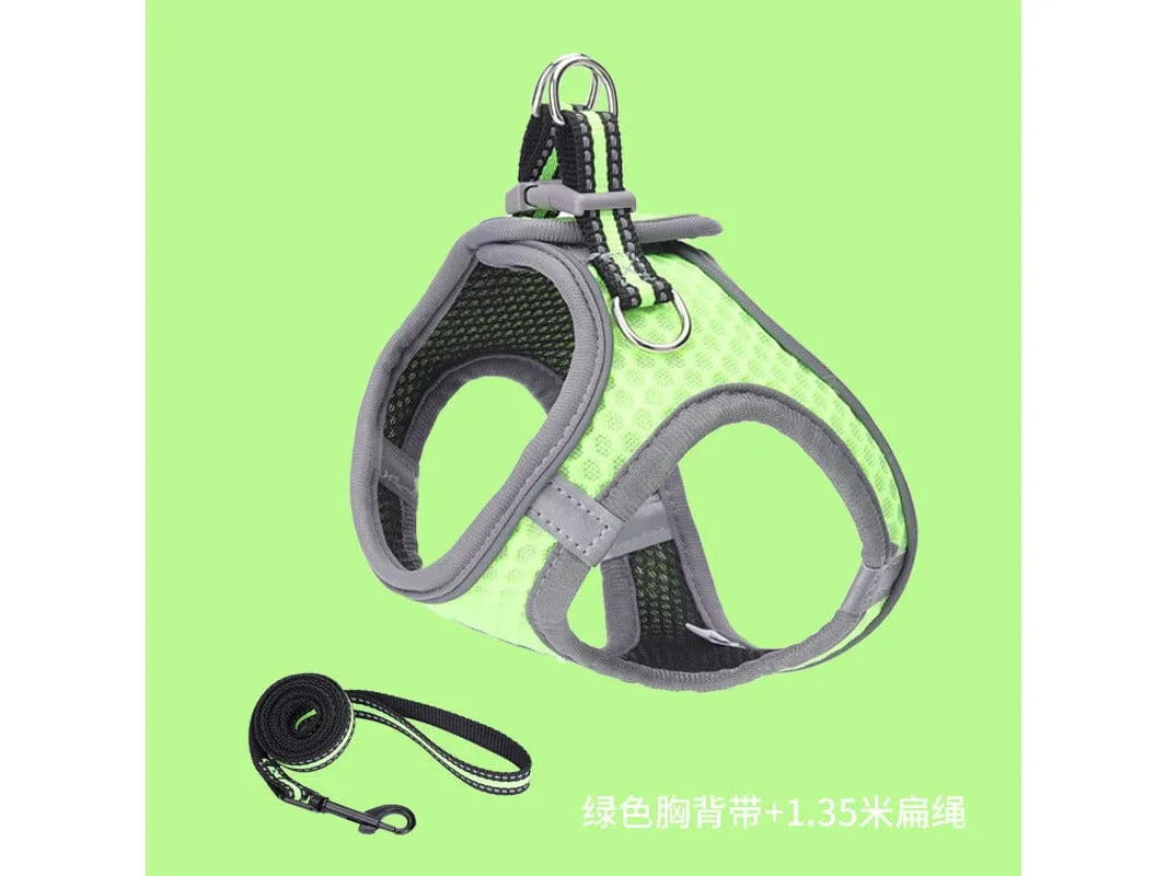 Pet Harness