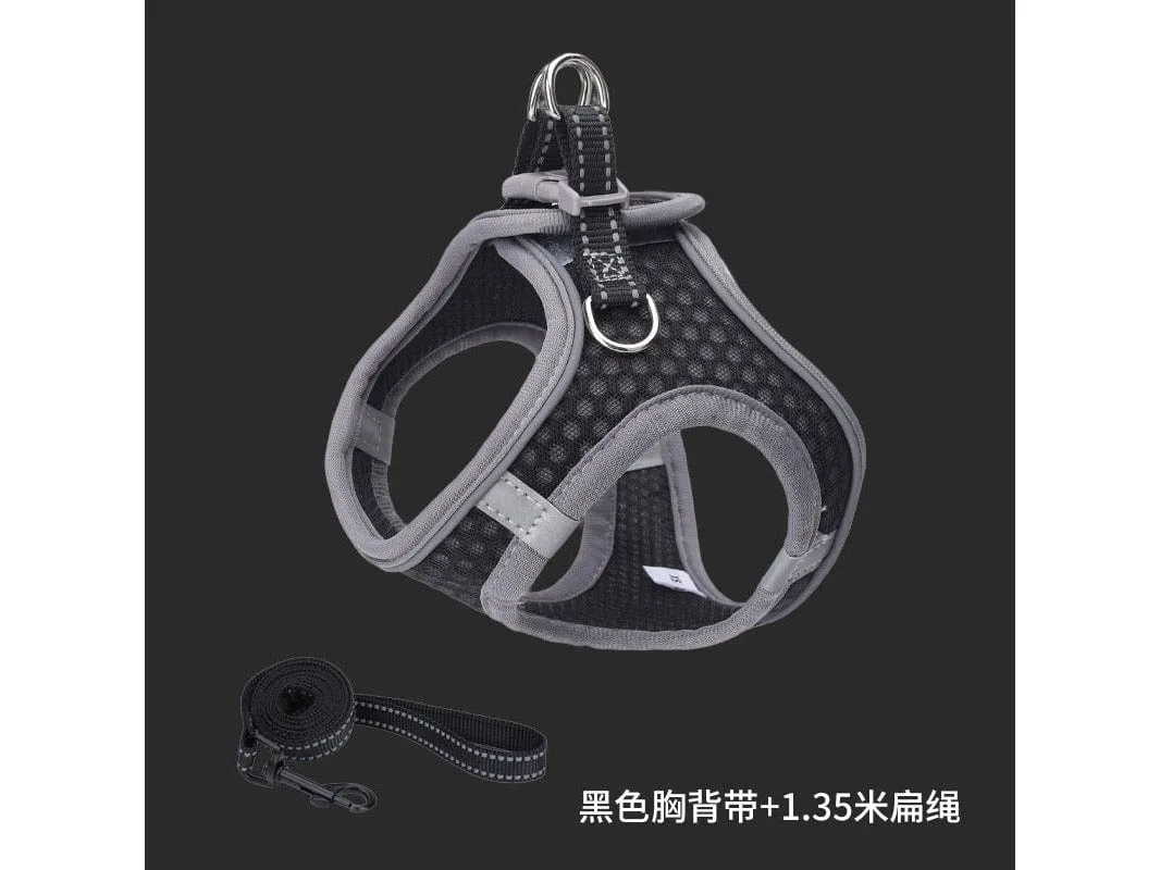 Pet Harness