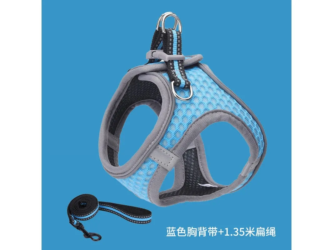 Pet Harness