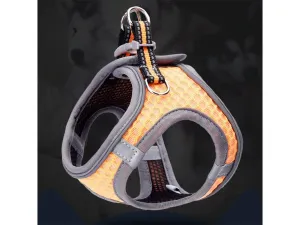 Pet Harness
