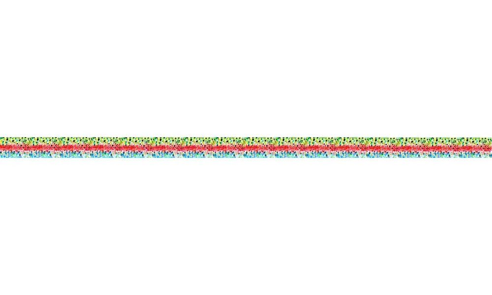 Rainbow#3 Trout Dog Leash