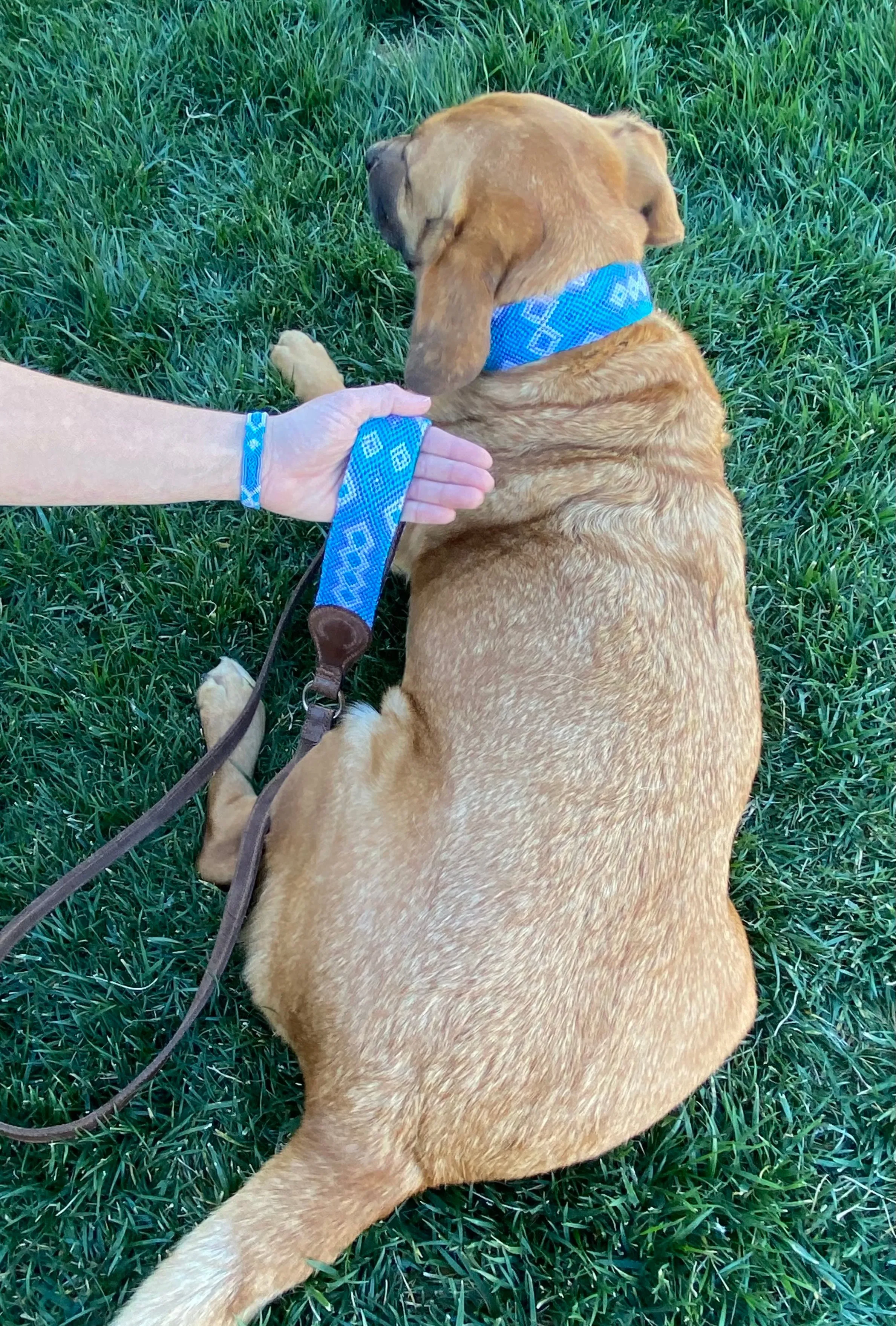 Ranchero Leash